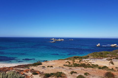 7 Hour Full Day Tour: Morning Tea, Chocolate, Olives, 3 Wineries & Lunch - Byron Bay Accommodation 10