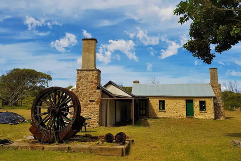7 Hour Full Day Tour: Morning Tea, Chocolate, Olives, 3 Wineries & Lunch - Byron Bay Accommodation 4