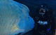 Shark Dive Experience At SEA LIFE Melbourne Aquarium - thumb 6
