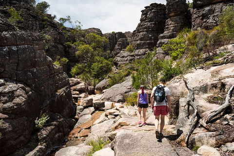 3-Day Melbourne To Adelaide Small-Group Tour Via Great Ocean Road Grampians - Victoria Tourism 3