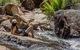 3-Day Melbourne To Adelaide Small-Group Tour Via Great Ocean Road Grampians - thumb 6