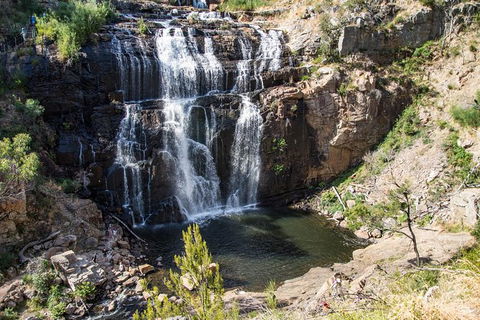 3-Day Melbourne To Adelaide Small-Group Tour Via Great Ocean Road Grampians - Victoria Tourism 8