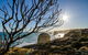 3-Day Melbourne To Adelaide Small-Group Tour Via Great Ocean Road Grampians - thumb 7