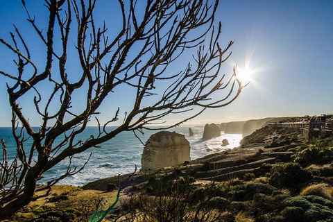 3-Day Melbourne To Adelaide Small-Group Tour Via Great Ocean Road Grampians - Victoria Tourism 7
