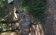 Yarra Valley Wildlife & Wine Day Tour From Melbourne With Healesville Sanctuary - thumb 9