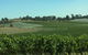 Yarra Valley Wildlife & Wine Day Tour From Melbourne With Healesville Sanctuary - thumb 2