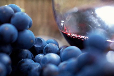 Small Group 6 Guests: Ultimate Mornington Peninsula Food And Wine - WA Accommodation 2