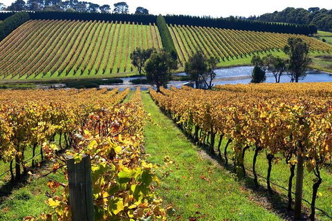 Small Group 6 Guests: Ultimate Mornington Peninsula Food And Wine - WA Accommodation 3