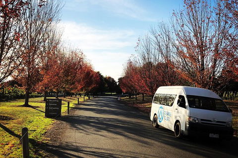 Small-Group Guided Yarra Valley Winery Tour With Wine Tasting - Accommodation Australia 13
