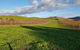Yarra Valley Winery Private Tour - thumb 1