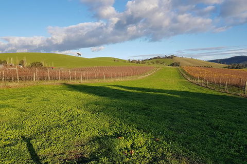 Yarra Valley Winery Private Tour - Holiday Sydney 1