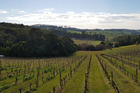 Yarra Valley Winery Private Tour - Holiday Sydney 0