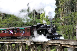 Dandenong Ranges & Puffing Billy