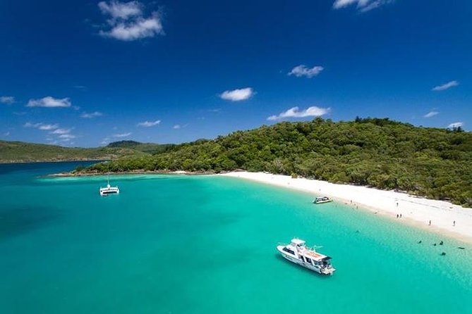 Whitehaven Beach and Hill Inlet | Awesome Beach BBQ | Family Friendly Logo and Images