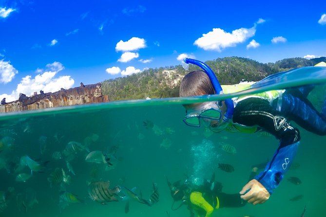 Classic Day Cruise to Tangalooma Island Resort on Moreton Island Logo and Images