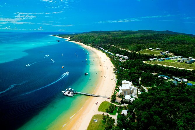 Tangalooma Island Resort Classic Whale Watching Day Cruise Logo and Images