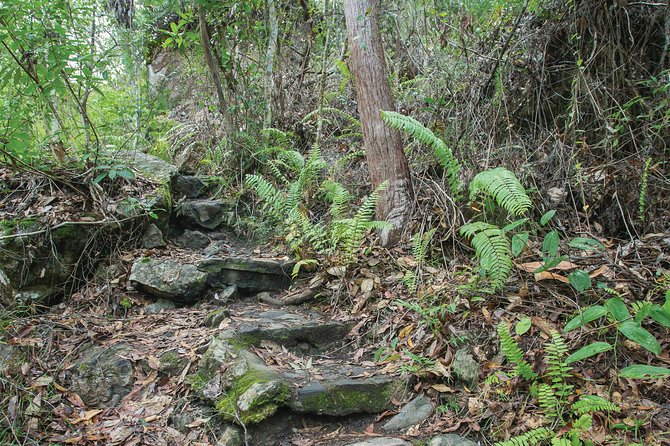 Whitsundays Tropical Rainforest, Waterfalls and Airlie Beach Eco Experience Logo and Images