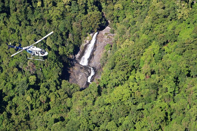 Scenic Reef & Rainforest Helicopter Flight from Port Douglas Logo and Images