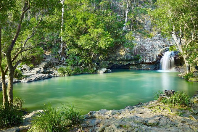 Explore Maleny, Montville, and take a swim under the waterfall. Logo and Images