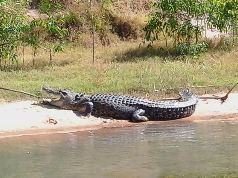 3-Day Kakadu National Park And Arnhem Land Explorer Tour From Darwin - thumb 6