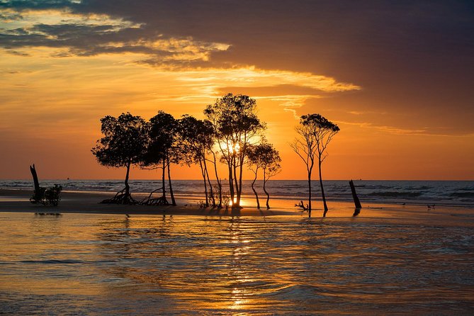 Darwin Self-Guided Audio Tour