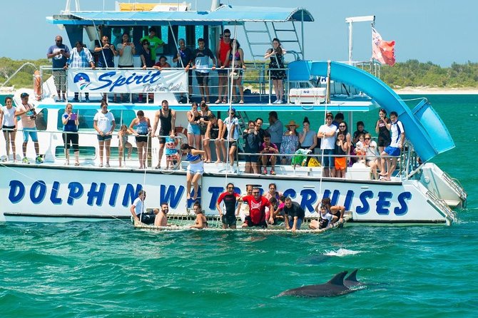 Port Stephens Dolphin Watching Cruise Including Splash And Slide - thumb 1