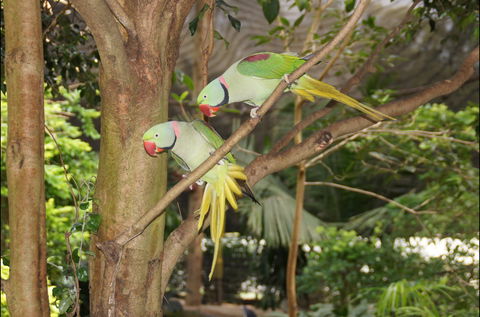 Apple Tree Creek - Whitsundays Tourism 2