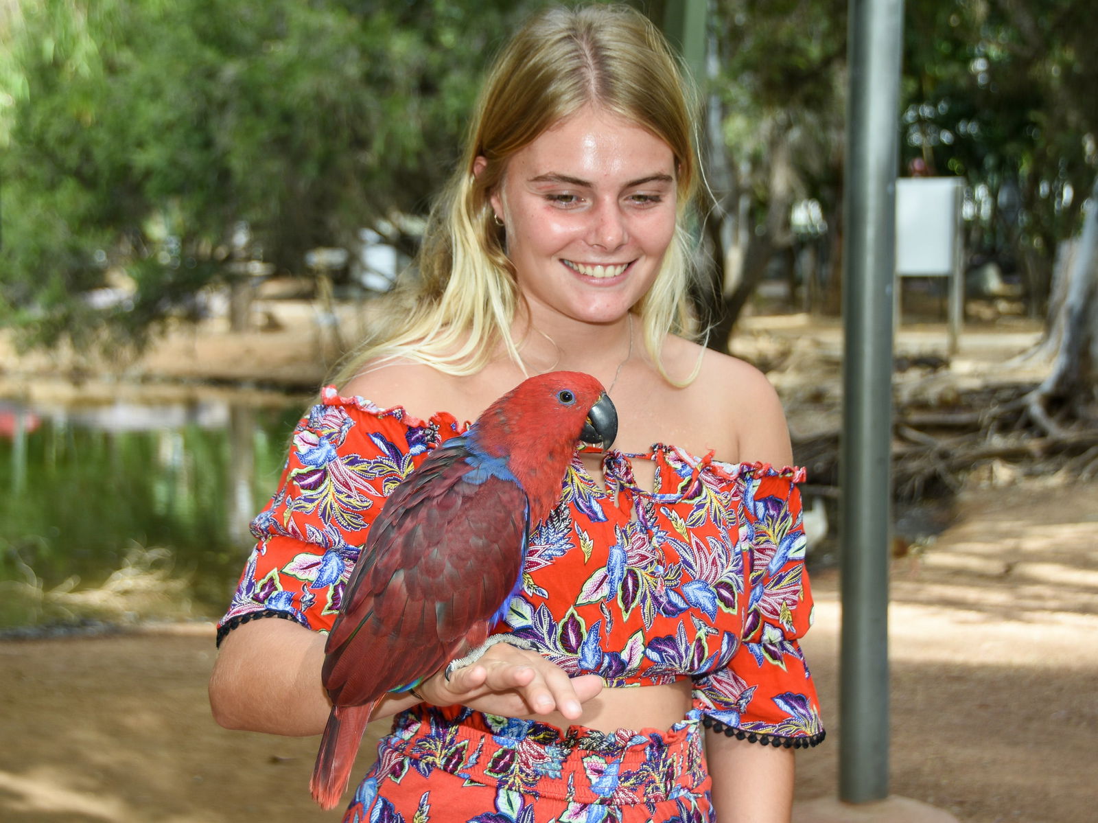 Billabong Sanctuary Logo and Images
