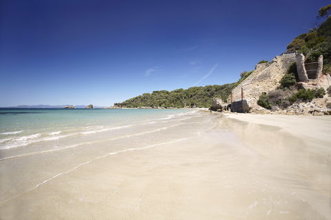 Cape Liptrap Coastal Park - Kawana Tourism 1