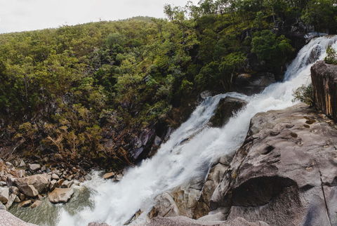 Davies Creek National Park And Dinden National Park - Accommodation Redcliffe 0