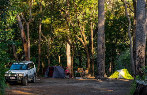 Davies Creek National Park And Dinden National Park - Accommodation Redcliffe 1