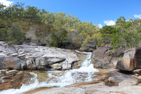 Davies Creek National Park And Dinden National Park - Accommodation Redcliffe 2