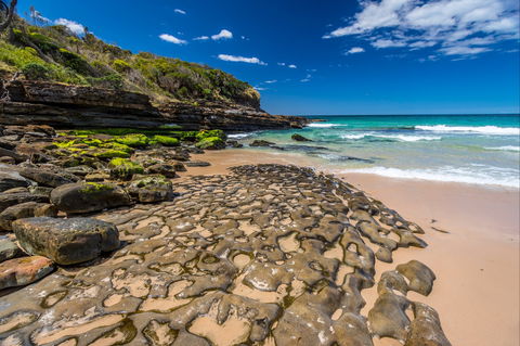 Dawsons Island Beach - Accommodation Port Macquarie 0
