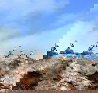 Dirk Hartog Island National Park - Accommodation NT