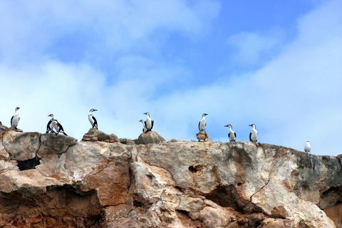 Dirk Hartog Island National Park - Accommodation NT 0