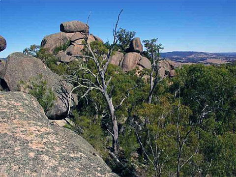 Evans Crown Nature Reserve - Wagga Wagga Accommodation 0