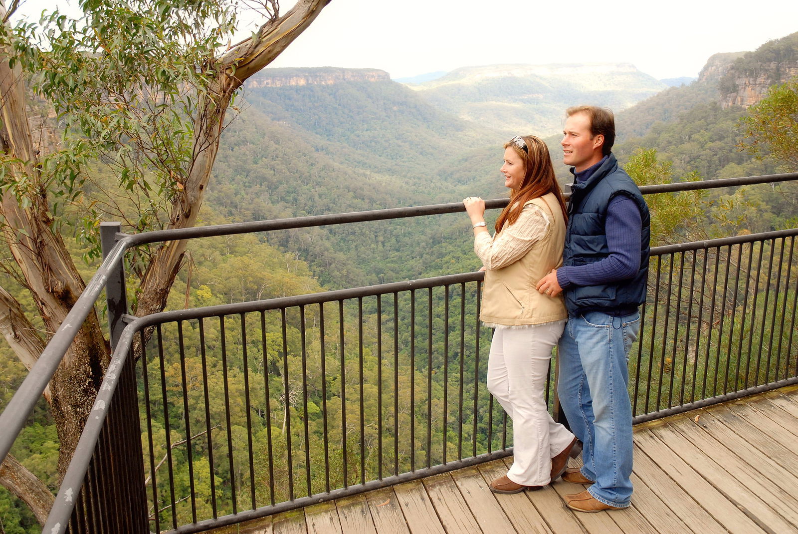 Fitzroy Falls Logo and Images