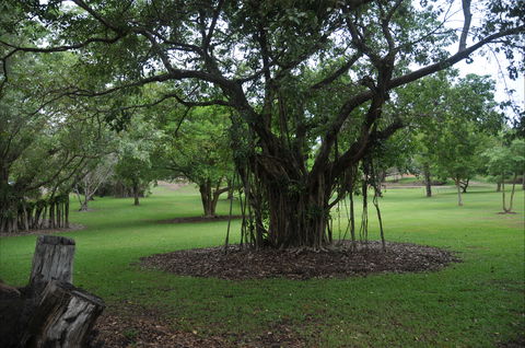 Frog Hollow - Accommodation Gladstone 1
