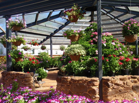 Geelong Botanic Gardens - Accommodation Hamilton Island 1
