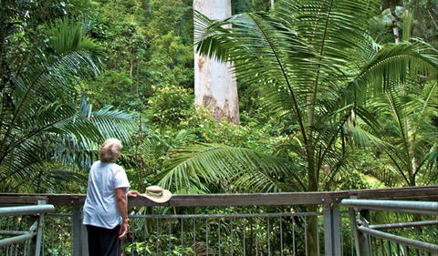Grandis Picnic Area - Victoria Tourism 0
