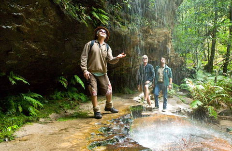 Grand Canyon Track - Accommodation in Bendigo 0