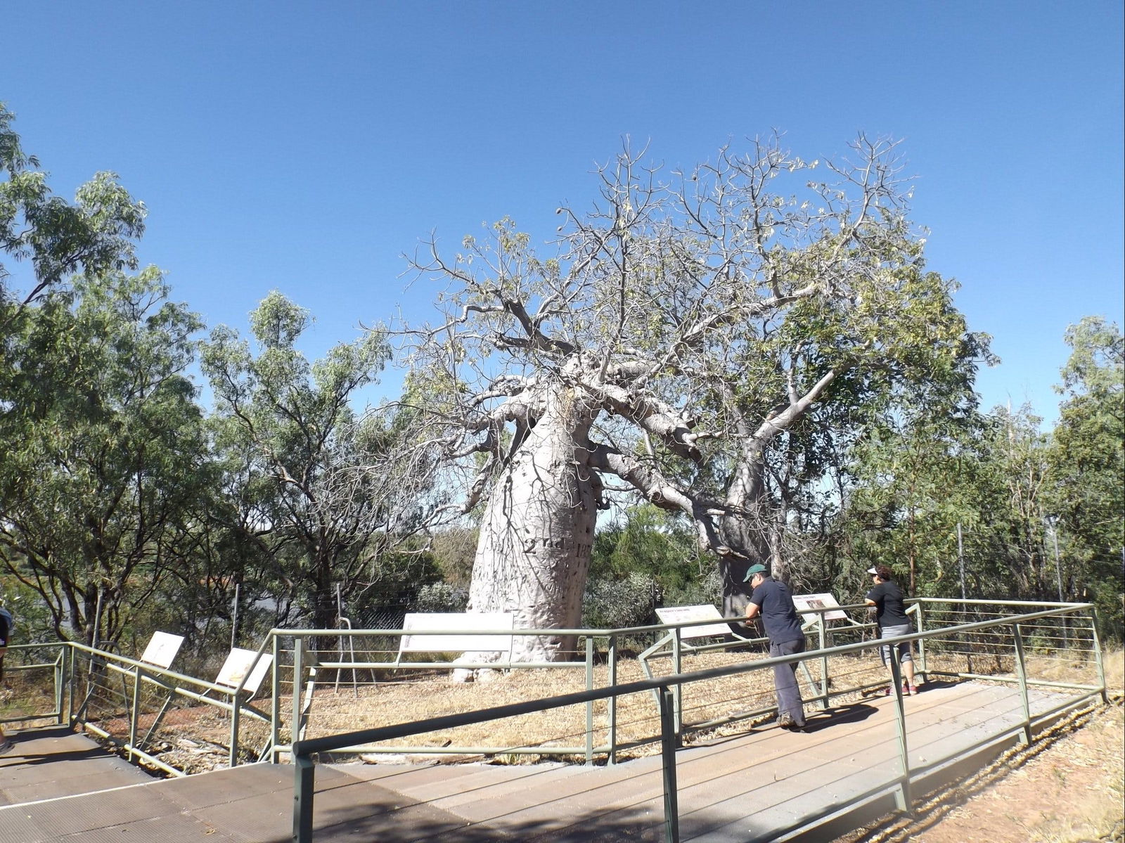 Gregory NT Kempsey Accommodation