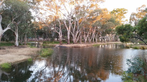 Green Corridor Walking Track - Wagga Wagga Accommodation 1