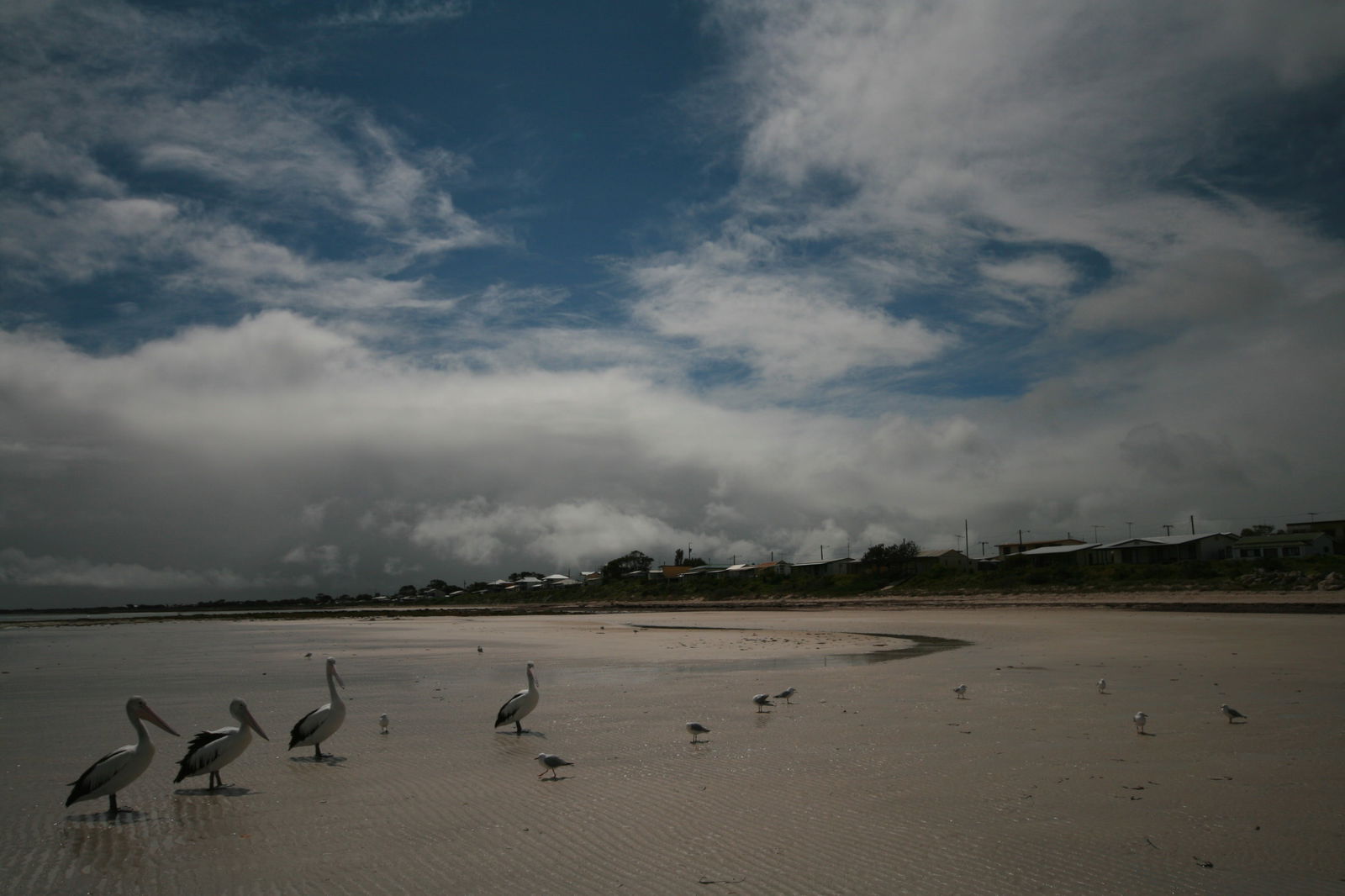 Yorke Peninsula SA Accommodation Sunshine Coast