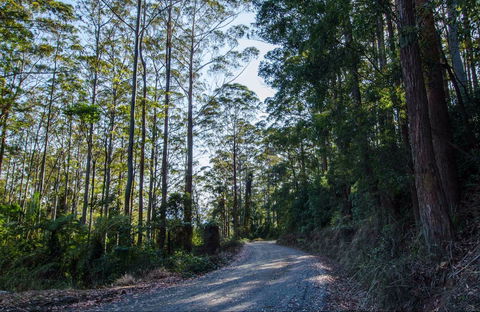 Hastings Forest Way Touring Route - Accommodation Ballina 0