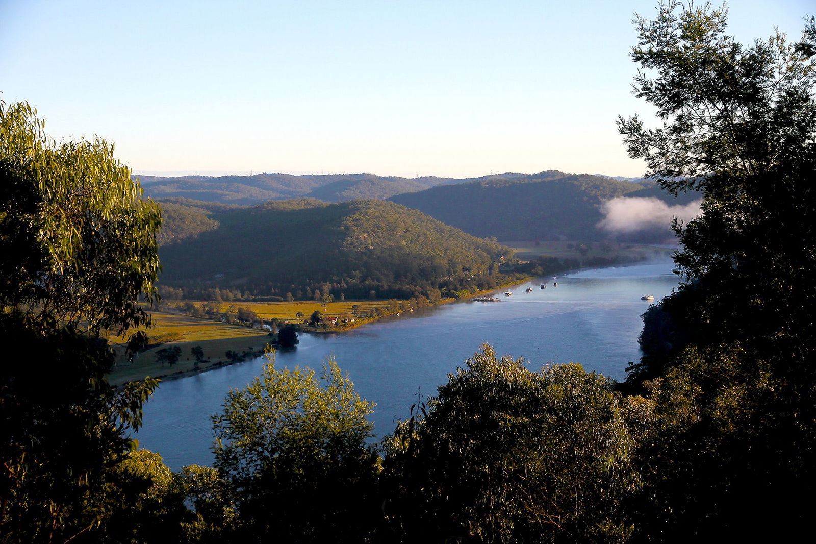 Hawkins Lookout Logo and Images