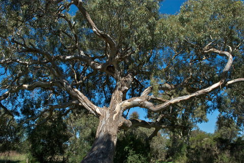 Holey Plains State Park - Attractions Perth 0
