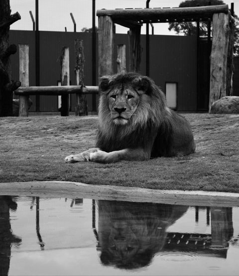 Hunter Valley Zoo - Accommodation Fremantle 0