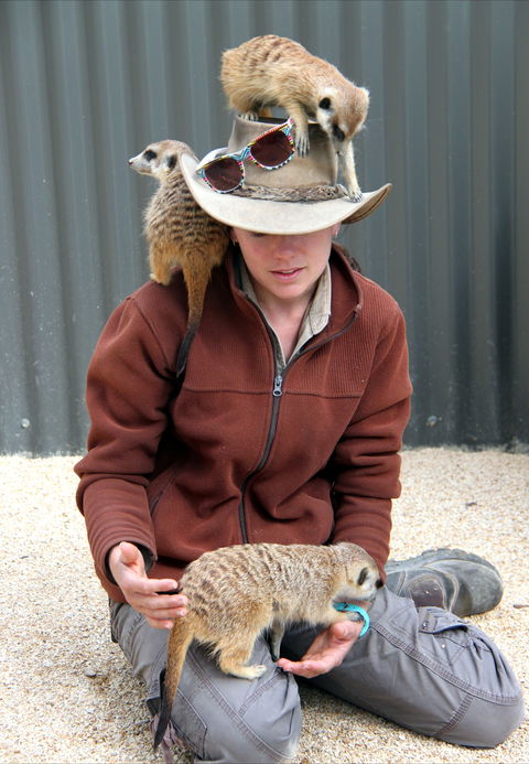 Hunter Valley Zoo - Accommodation Fremantle 2