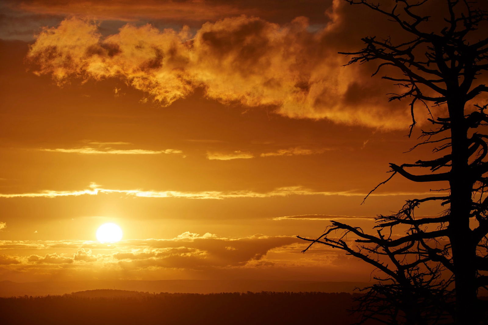 Kinglake Central VIC Mackay Tourism